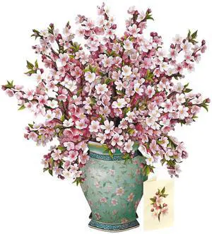 Grande Japanese Cherry Blossoms 20 Inch Life-Sized 3D Pop Up Card Greeting Card, Birthday, Mothers Day, Thank You, Gifts for Mom and Her Includes Notecard and Envelope Grande Japanese Cherry Blossoms 20 Inch Life-Sized 3D Pop Up Card Greeting Card, Birthday, Mothers Day, Thank You, Gifts for Mom and Her Includes Notecard and Envelope