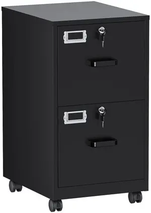 2 Drawers File Cabinet with Lock Metal Vertical File Cabient with Wheels Mobile File Cabinet for Office Home Legal/Letter/a4 Size Require Assembly 2 Drawers File Cabinet with Lock Metal Vertical File Cabient with Wheels Mobile File Cabinet for Office Home Legal/Letter/a4 Size Require Assembly