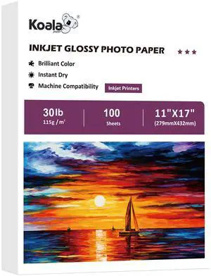 Glossy Thin Inkjet Paper 11x17 Inches 100 Sheets 30LB for DIY Chip Bags Compatible with Inkjet Printer Use Dye Ink 115gsm Glossy Thin Inkjet Paper 11x17 Inches 100 Sheets 30LB for DIY Chip Bags Compatible with Inkjet Printer Use Dye Ink 115gsm