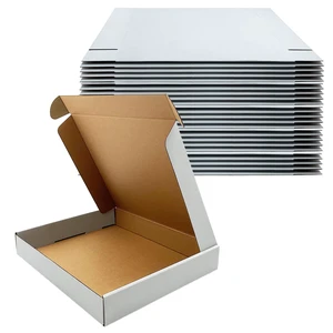 13x11x2 Inch Shipping Boxes Set of 25,White Corrugated Cardboard Mailers Recycled Literature Mailer, Small Business Packaging, Mailing, Moving, Storage, Gifting, Wrapping, E-Commerce, Tuck Top 13x11x2 Inch Shipping Boxes Set of 25,White Corrugated Cardboard Mailers Recycled Literature Mailer, Small Business Packaging, Mailing, Moving, Storage, Gifting, Wrapping, E-Commerce, Tuck Top