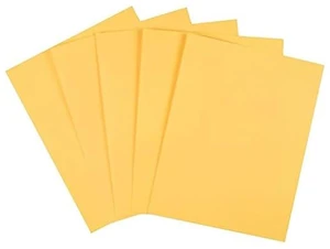 Pastel Colored Copy Paper 8 1/2-Inch x 11-Inch Goldenrod Ream, For Office, School & Home Colored multipurpose paper for office, school & home printing and projects Pastel Colored Copy Paper 8 1/2-Inch x 11-Inch Goldenrod Ream, For Office, School & Home Colored multipurpose paper for office, school & home printing and projects