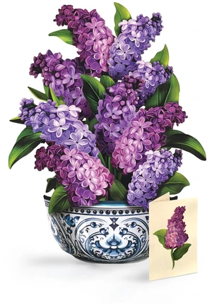 Garden Lilacs 14" Life-Sized 3D Pop Up Card Includes Greeting Card and Envelope Note Card for Birthday, Mother's Day & More, Gifts for Mom & Her Garden Lilacs 14" Life-Sized 3D Pop Up Card Includes Greeting Card and Envelope Note Card for Birthday, Mother's Day & More, Gifts for Mom & Her