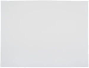 Railroad Poster Board Paper, 22 x 28 Inches, 4-Ply, White, Pack of 25 Railroad Poster Board Paper, 22 x 28 Inches, 4-Ply, White, Pack of 25