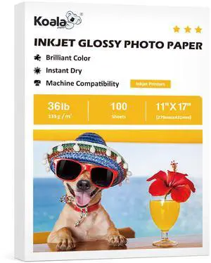 Glossy Thin Inkjet Printer Paper 11x17 Inches 100 Sheets 36LB for DIY Chip Bag and Print Brochure Flyer for Inkjet Printer Use Dye Ink 135gsm Glossy Thin Inkjet Printer Paper 11x17 Inches 100 Sheets 36LB for DIY Chip Bag and Print Brochure Flyer for Inkjet Printer Use Dye Ink 135gsm