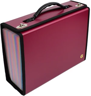 Accordion File Folders with 24 Pockets Organizer for Document Paper Storage Folder Documents Expanding Binder Folio Pocket Receipt Filing Expandable Files Dividers Labels Letter Durable Handle Accordion File Folders with 24 Pockets Organizer for Document Paper Storage Folder Documents Expanding Binder Folio Pocket Receipt Filing Expandable Files Dividers Labels Letter Durable Handle