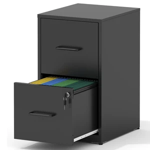 2-Drawer File Cabinet with Lock,Vertical Steel Storage for Letter/Legal/A4 Size Folders,Black 2-Drawer File Cabinet with Lock,Vertical Steel Storage for Letter/Legal/A4 Size Folders,Black