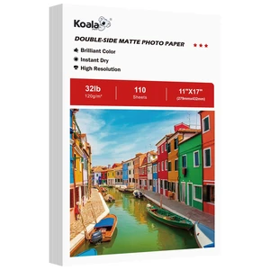 Double Sided Thin Matte Printer Paper 11x17 Inch 32LB 110 Sheets for Presentation, Books Printing, Compatible with Inkjet Printer, 120gsm Double Sided Thin Matte Printer Paper 11x17 Inch 32LB 110 Sheets for Presentation, Books Printing, Compatible with Inkjet Printer, 120gsm