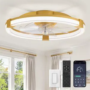 Ceiling Fan with Light 20" Low Profile Fandelier with Remote Gold 6 Speeds, Reversible, Dimmable Flush Mount Fan Light, Modern Ceiling Fan with Lights for Bedroom Bladeless Ceiling Fan with Light 20" Low Profile Fandelier with Remote Gold 6 Speeds, Reversible, Dimmable Flush Mount Fan Light, Modern Ceiling Fan with Lights for Bedroom Bladeless