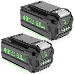 2Pack 40V 6.0Ah 29252 Replacement for Greenworks 40V Battery Lithium 29252 20202 22262 25312 25322 20642 22272 27062 Compatible with GreenWorks G-MAX Battery 40 Volt Cordless Chainsaw Tools 2Pack 40V 6.0Ah 29252 Replacement for Greenworks 40V Battery Lithium 29252 20202 22262 25312 25322 20642 22272 27062 Compatible with GreenWorks G-MAX Battery 40 Volt Cordless Chainsaw Tools