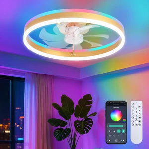RGB Ceiling Fan with Light, Low Profile Ceiling Fans, Gold 20 Flush Mount Bladeless Ceiling Fan, Remote and APP Control,Modern Small Fandelier for Bedroom Living Room RGB Ceiling Fan with Light, Low Profile Ceiling Fans, Gold 20 Flush Mount Bladeless Ceiling Fan, Remote and APP Control,Modern Small Fandelier for Bedroom Living Room