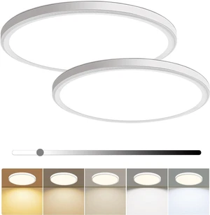 2 Pack 16 Inch Dimmable LED Flush Mount Ceiling Light 4800LM Round Light Fixture 5 Color Temperature Selectable Super Slim Large Flat Ceiling Lamp for Living Dining Room White 2 Pack 16 Inch Dimmable LED Flush Mount Ceiling Light 4800LM Round Light Fixture 5 Color Temperature Selectable Super Slim Large Flat Ceiling Lamp for Living Dining Room White