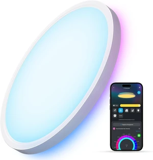 Govee Smart Ceiling Light, RGBIC 2400LM 2700K-6500K 12 Inch 1 Pack White Govee Smart Ceiling Light, RGBIC 2400LM 2700K-6500K 12 Inch 1 Pack White