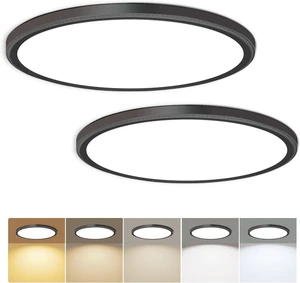 Hunhun 2 Pack 3200lm LED Flush Mount Ceiling Light 28W 12 Inch 5CCT Adjustable Super Slim 0.87 inch Round Ceiling Lamp for Bedroom, Living Room, Kitchen, Laundry - Black Hunhun 2 Pack 3200lm LED Flush Mount Ceiling Light 28W 12 Inch 5CCT Adjustable Super Slim 0.87 inch Round Ceiling Lamp for Bedroom, Living Room, Kitchen, Laundry - Black