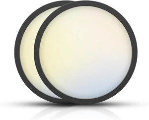 TOPELER Black Slim LED Surface Mount Ceiling Light, 9inch Dimmable Round Flat Panel Lights, 24W 2000Lm, 5CCT Selectable Low Profile Ceiling Light Fixtures for Hallway, Kitchen, Porch, 2 Pack TOPELER Black Slim LED Surface Mount Ceiling Light, 9inch Dimmable Round Flat Panel Lights, 24W 2000Lm, 5CCT Selectable Low Profile Ceiling Light Fixtures for Hallway, Kitchen, Porch, 2 Pack