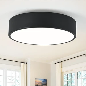 2-Light Black Modern Flush Mount Ceiling Light 11.8 Inch 2-Light Black Modern Flush Mount Ceiling Light 11.8 Inch