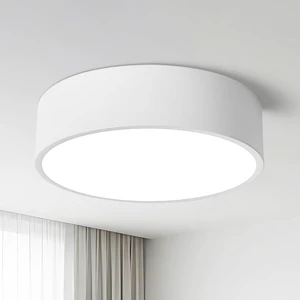 11.81in Dimmable Modern White Flush Mount LED Ceiling Light Fixture