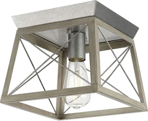 Progress Lighting Briarwood 9.5" 1-Light Flush Mount Light, Galvanized Progress Lighting Briarwood 9.5" 1-Light Flush Mount Light, Galvanized