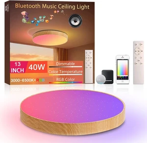 Led Flush Mount Ceiling Light with Bluetooth Speaker 13 Inch Led Flush Mount Ceiling Light with Bluetooth Speaker 13 Inch