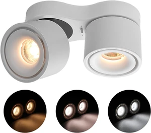 LED Ceiling Spot Lights Indoor, Directional, Dimmable Dual Head, 3CCT, 20W LED Ceiling Spot Lights Indoor, Directional, Dimmable Dual Head, 3CCT, 20W