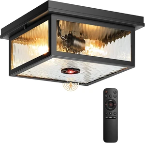 VIANIS Black Motion Sensor Outdoor Ceiling Light with Remote Control VIANIS Black Motion Sensor Outdoor Ceiling Light with Remote Control