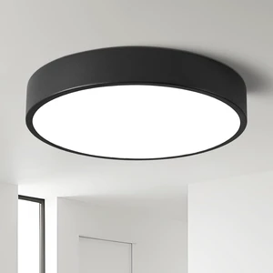 11.8 Inch Hallway LED Low Profile Flush Mount Ceiling Light Fixture