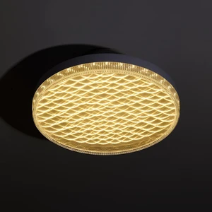 E26 to E26 Screw in LED Ceiling Light Fixture that Screws into Socket 12 Inch Ceiling Lamp with Memory Function for Basement Garage Shop 3 Color Changing White Light 48W (Warm/White/Daylight)