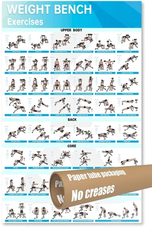 Fitness Bench Poster Adjustable Benches Poster (1PC Paper Tube) Fitness Bench Poster Adjustable Benches Poster (1PC Paper Tube)
