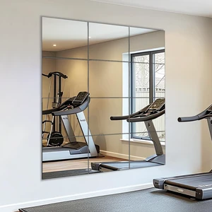 VASUHOME Home Gym Mirrors 12 Inch x 12PCS, HD Glass Wall Mounted Mirror Tiles for Home Gym, Bedroom, Living Room, Door, Closet VASUHOME Home Gym Mirrors 12 Inch x 12PCS, HD Glass Wall Mounted Mirror Tiles for Home Gym, Bedroom, Living Room, Door, Closet
