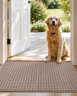 DEXI Door Mat Indoor Entrance 24x36, Entryway Doormats, Beige DEXI Door Mat Indoor Entrance 24x36, Entryway Doormats, Beige