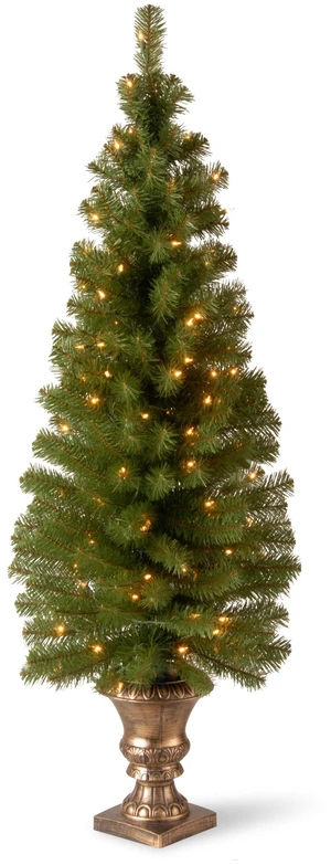 5ft Pre-Lit Montclair Spruce Christmas Entrance Tree 5ft Pre-Lit Montclair Spruce Christmas Entrance Tree