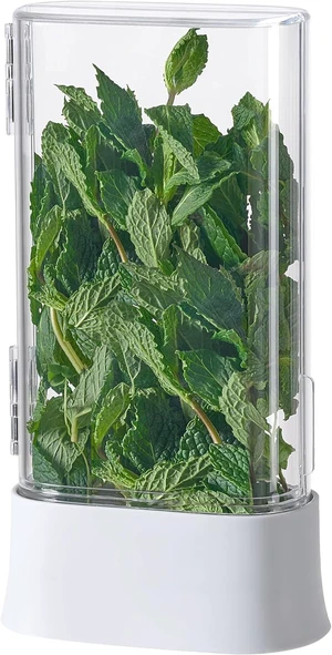 Green Saver Herb Keeper Refrigerator Storage Container for Cilantro, Asparagus, Fresh Herbs, Dishwasher Safe, Extends Freshness 10 Days Green Saver Herb Keeper Refrigerator Storage Container for Cilantro, Asparagus, Fresh Herbs, Dishwasher Safe, Extends Freshness 10 Days