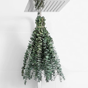 10 Pcs Dried Eucalyptus Stems 17" Real Eucalyptus for Shower Hanging | 100% Made from Fresh Eucalyptus Stems, Bathroom Decor Home Decor Wedding, Home, Farmhouse, DIY Spring Decor 10 Pcs Dried Eucalyptus Stems 17" Real Eucalyptus for Shower Hanging | 100% Made from Fresh Eucalyptus Stems, Bathroom Decor Home Decor Wedding, Home, Farmhouse, DIY Spring Decor