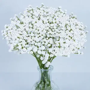 6 Babys Breath Artificial Flowers - White Faux Gypsophila Bouquet | Realistic Fake Flower Greenery for Wedding Centerpieces, Table Decorations, Bridal Bouquets, Home & Party Floral Arrangements 6 Babys Breath Artificial Flowers - White Faux Gypsophila Bouquet | Realistic Fake Flower Greenery for Wedding Centerpieces, Table Decorations, Bridal Bouquets, Home & Party Floral Arrangements