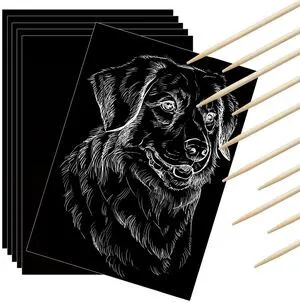 60 Pieces Scratch Paper Craft Art Set Adults Scratchboard Kits 7.2 x 5 Inch Black Scratch Off Paper Scratchboard Pad Art Supplies with Wooden Stylus for DIY Birthday Party Gift Supplies 60 Pieces Scratch Paper Craft Art Set Adults Scratchboard Kits 7.2 x 5 Inch Black Scratch Off Paper Scratchboard Pad Art Supplies with Wooden Stylus for DIY Birthday Party Gift Supplies