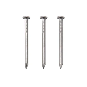 500PCS 1" Nickel Flat Head Nails for Hanging Pictures & Woodwork | Premium Carbon Steel Build, Rust-Resistant Nickel Finish, Consistent Size & Strength 500PCS 1" Nickel Flat Head Nails for Hanging Pictures & Woodwork | Premium Carbon Steel Build, Rust-Resistant Nickel Finish, Consistent Size & Strength