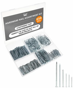 Nail Assortment Kit, 650 pcs, 6 Sizes, Picture Hanging Nails | Stainless Steel Small Nails for Hanging Pictures, Finishing Nails for Drywall and Wood Nail Assortment Kit, 650 pcs, 6 Sizes, Picture Hanging Nails | Stainless Steel Small Nails for Hanging Pictures, Finishing Nails for Drywall and Wood