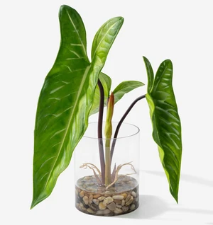 Realistic Faux Plant in Clear Pot with Artificial Water, Narrow Arrowhead Leaves. Artificial Plants Indoor and Outdoor Realistic Faux Plant in Clear Pot with Artificial Water, Narrow Arrowhead Leaves. Artificial Plants Indoor and Outdoor