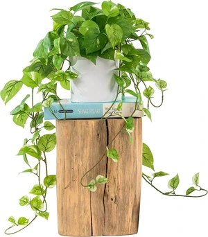ROVALA Silk Plants for Home Decor Indoor in Pot Realistic Artificial Plants Fake Hanging Plants Faux Plants Indoor Fake Potted Plants Fake Plants for Shelves Bathroom Plants, Fake Pothos (Light Green) ROVALA Silk Plants for Home Decor Indoor in Pot Realistic Artificial Plants Fake Hanging Plants Faux Plants Indoor Fake Potted Plants Fake Plants for Shelves Bathroom Plants, Fake Pothos (Light Green)