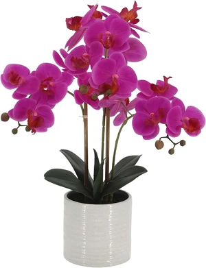 Faux Orchid Plant 23" Tall, Realistic Touch Leaves, Potted Phalaenopsis Artificial Plants Indoor for Home Decor Small Office Home Living Room-Dark Pink Faux Orchid Plant 23" Tall, Realistic Touch Leaves, Potted Phalaenopsis Artificial Plants Indoor for Home Decor Small Office Home Living Room-Dark Pink