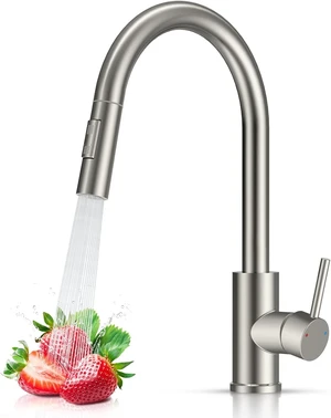 Kitchen Faucet with Pull Down Sprayer Stainless Steel Brushed Nickel Kitchen Faucet with Pull Down Sprayer Stainless Steel Brushed Nickel