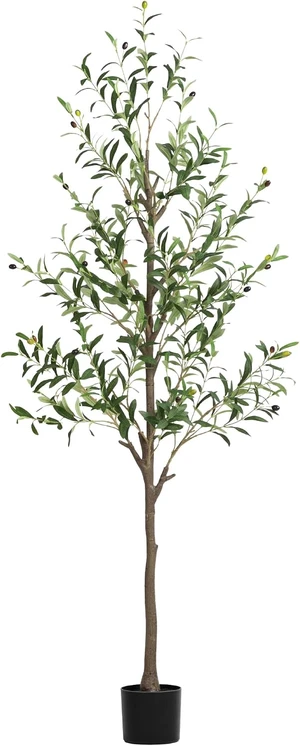 Olive Tree Artificial Indoor, 6 FT Faux Olive Trees with Planter, Fake Tall Plants with Natural Trunk and Lifelike Fruits for Home Office Decor(1, 6FT) Olive Tree Artificial Indoor, 6 FT Faux Olive Trees with Planter, Fake Tall Plants with Natural Trunk and Lifelike Fruits for Home Office Decor(1, 6FT)