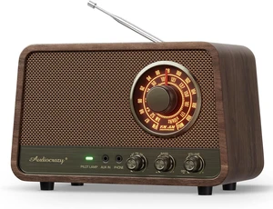 Vintage Wood AM FM Bluetooth Radio,10W Powerful Sound, Espresso Vintage Wood AM FM Bluetooth Radio,10W Powerful Sound, Espresso