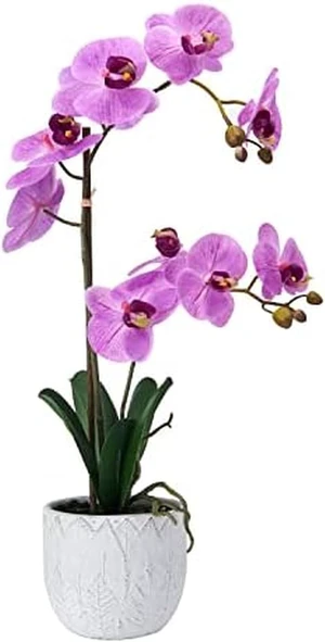 Artificial Orchid Arrangement, 22 Inch Faux Orchid in Cement Pot, Lifelike Fake Orchid Plant for Home Decor, Low-Maintenance Plastic Orchid Bouquet for Living Room, Bedroom, or Office Artificial Orchid Arrangement, 22 Inch Faux Orchid in Cement Pot, Lifelike Fake Orchid Plant for Home Decor, Low-Maintenance Plastic Orchid Bouquet for Living Room, Bedroom, or Office