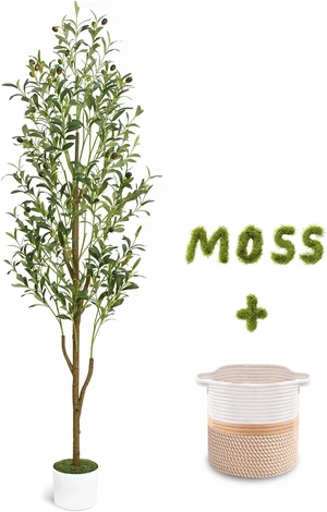 6FT Artificial Olive Tree Indoor Tall Faux with Planter & Basket 6FT Artificial Olive Tree Indoor Tall Faux with Planter & Basket