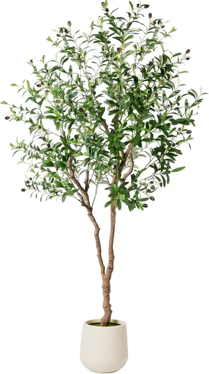 6FT Faux Olive Tree with Decorative Planter, Olive Trees Artificial Indoor with Textured Trunk, Silk Leaves and Olive Fruits, Fake Plants for Living Room, Entryway and Office Decor 6FT Faux Olive Tree with Decorative Planter, Olive Trees Artificial Indoor with Textured Trunk, Silk Leaves and Olive Fruits, Fake Plants for Living Room, Entryway and Office Decor