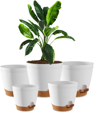 Self Watering Pots for Indoor Plants 6.8"/6.4"/5.9"/5.5"/4.9" Set of 5, Planters for Indoor Plants, Small Multi-Size Flowerpot, Plant Pots with Drainage & Reservoir (White) Self Watering Pots for Indoor Plants 6.8"/6.4"/5.9"/5.5"/4.9" Set of 5, Planters for Indoor Plants, Small Multi-Size Flowerpot, Plant Pots with Drainage & Reservoir (White)