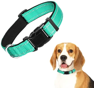Vila Reflective Nylon Adjustable Dog Collar, High-Visibility, Padded and Lightweight, for Daily Walks and Training, Easy-On Snap Buckle, Strong Leash Ring, Medium to Large Breeds, 16-24", Teal, 1 Pc Vila Reflective Nylon Adjustable Dog Collar, High-Visibility, Padded and Lightweight, for Daily Walks and Training, Easy-On Snap Buckle, Strong Leash Ring, Medium to Large Breeds, 16-24", Teal, 1 Pc
