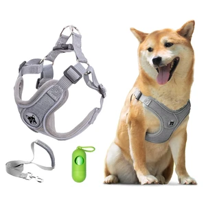 Dog Harness with Leash Set for Small Dogs, No Pull No Choke Reflective Step in X Head Pet Harness Vest with Poop Bags and Dispenser, Adjustable and Padded, Blue Extra Small Dog Harness with Leash Set for Small Dogs, No Pull No Choke Reflective Step in X Head Pet Harness Vest with Poop Bags and Dispenser, Adjustable and Padded, Blue Extra Small
