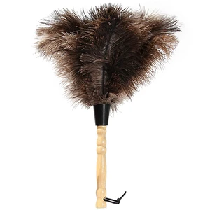 Ostrich Feather Duster 14 inch Feather Duster Fluffy Natural Genuine Ostrich Feathers with Wooden Handle and Eco-Friendly Reusable Handheld Ostrich Feather Duster for Cleaning Supplies Ostrich Feather Duster 14 inch Feather Duster Fluffy Natural Genuine Ostrich Feathers with Wooden Handle and Eco-Friendly Reusable Handheld Ostrich Feather Duster for Cleaning Supplies