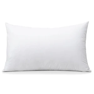 OTOSTAR Throw Pillow Insert, 12 x 20 Cushion Inner Soft Fluffy Plump Stuffer Cushion Pad White Decorative Pillow Insert OTOSTAR Throw Pillow Insert, 12 x 20 Cushion Inner Soft Fluffy Plump Stuffer Cushion Pad White Decorative Pillow Insert